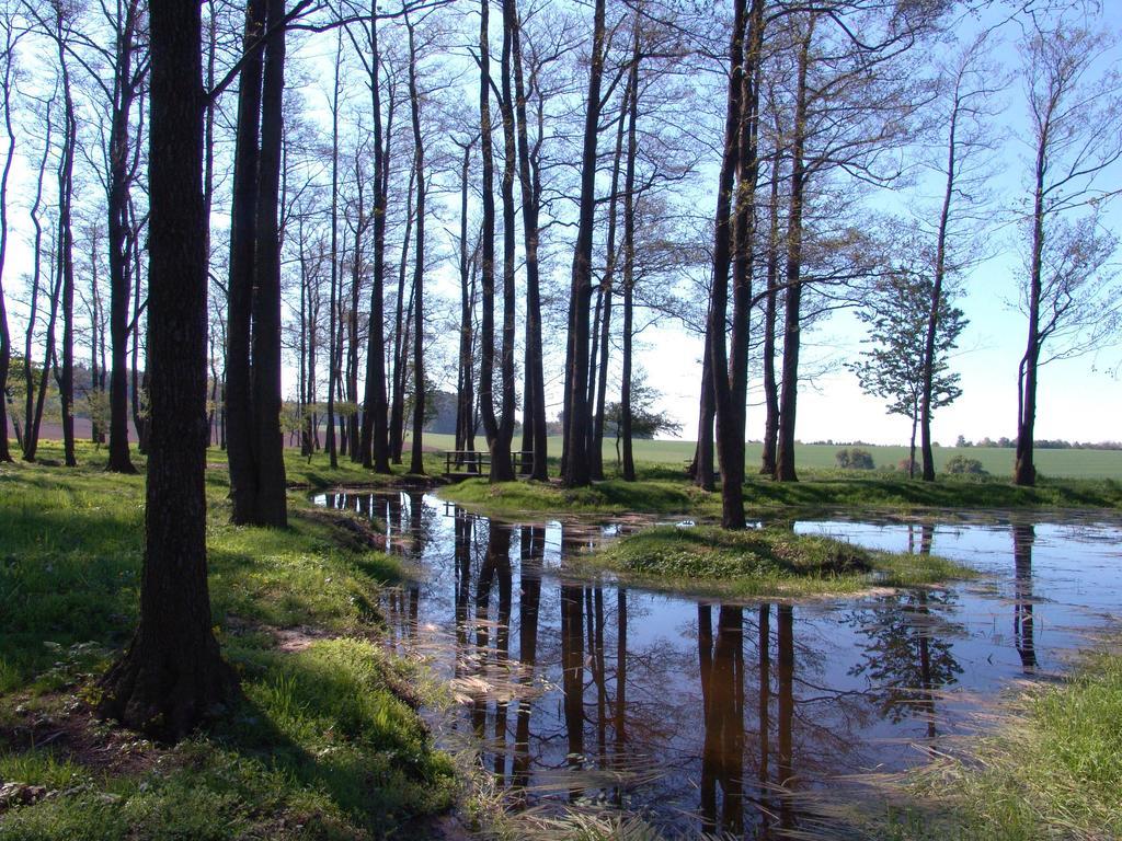 Wellness Penzion Pod Rozhlednou Kostelec nad Orlici Bagian luar foto